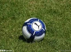 上海乘势发,全国数据市,场一体化建,九游娱乐平台,九游娱乐官方网站,九游娱乐登录入口,九游娱乐app下载