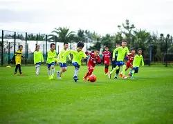 国乒星运受,杨毅直言剖,析失败原因,九游娱乐平台,九游娱乐官方网站,九游娱乐登录入口,九游娱乐app下载