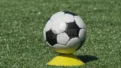 九游娱乐 资讯 121618 ehn