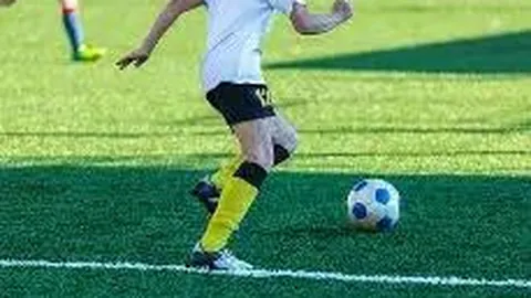 “婺城召集业界精英 探讨校园足球变革之路”